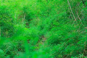 BIB: 
                            <button type="button" onclick="openModal(22091210)" class="btn btn-primary btn-sm float-right btn-popup" data-toggle="modal" data-target=".modal-high-quality">
                        <i class="fas fa-shopping-cart"></i> Add to Cart
                    </button>
                                            <button type="button" onclick="isThisMe(22091210, true)" class="btn btn-success btn-sm float-right btn-popup btn-isme hidden" data-toggle="tooltip" data-placement="bottom" title="นี่คือรูปของคุณใช่ไหม คลิกที่นี่เพื่อเอาเข้าอัลบั้ม">
                        <i class="fas fa-plus"></i> Add to album
                    </button>
                    <button type="button" onclick="isThisMe(22091210, false)" class="btn btn-warning btn-sm float-right btn-popup btn-isnotme hidden">
                        <i class="fas fa-ban"></i> Remove from album
                    </button>